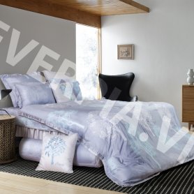 Bộ chăn ga gối Everon ES1720