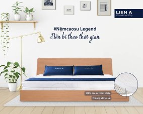 Bảng giá đệm cao su 150 x 190cm