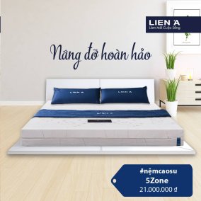 Bảng giá đệm cao su 120 x 190cm